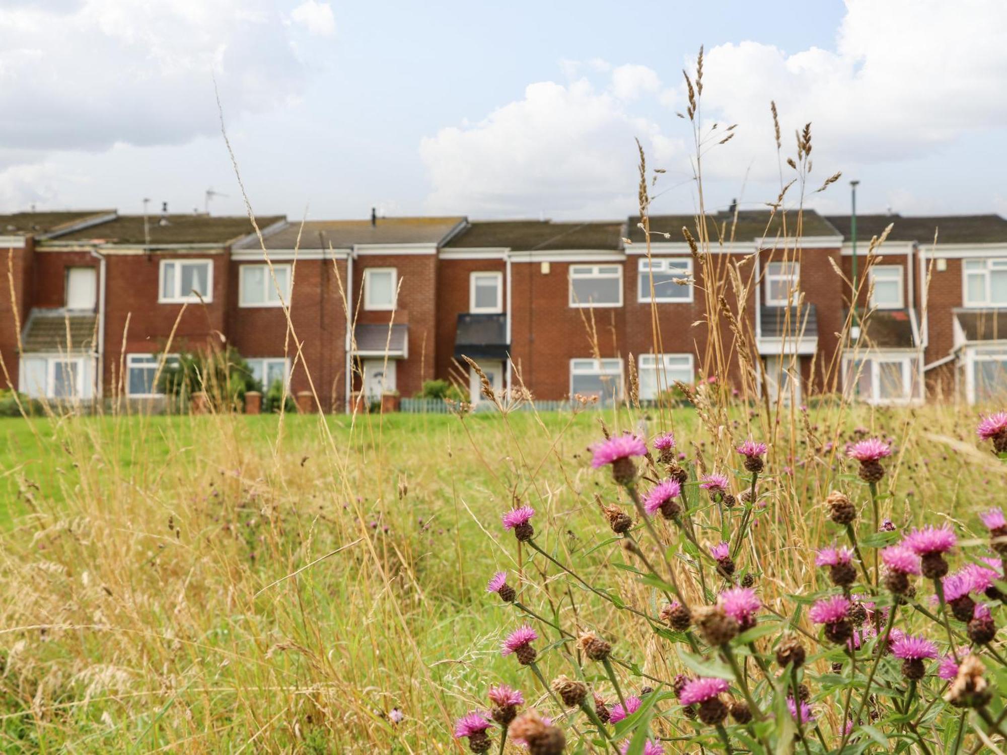 Sea View Cottage South Shields Luaran gambar